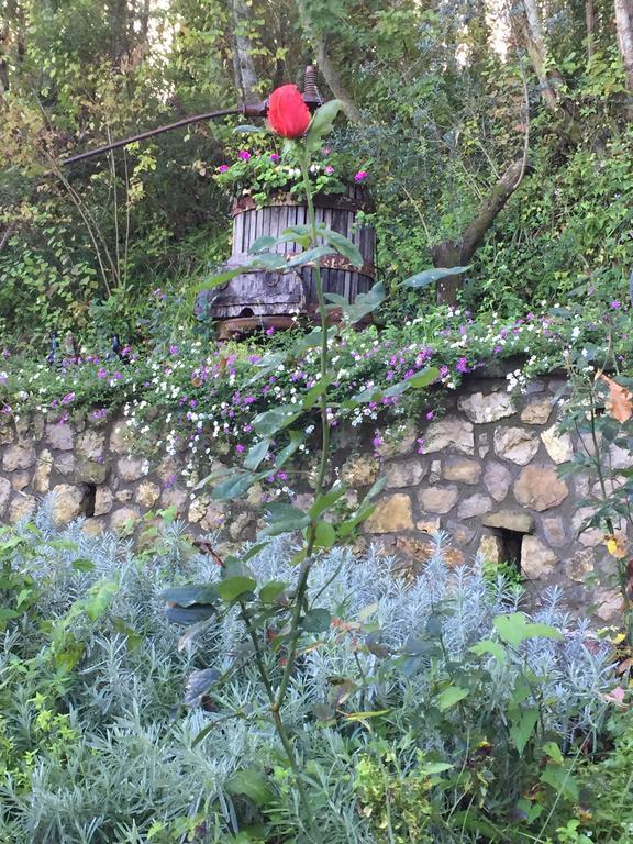 Vila Il Casale Del Mirto Vico Equense Exteriér fotografie