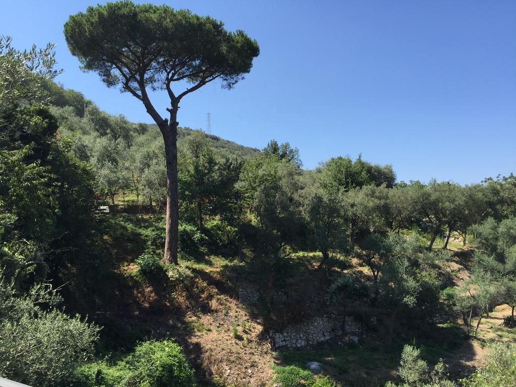 Vila Il Casale Del Mirto Vico Equense Exteriér fotografie
